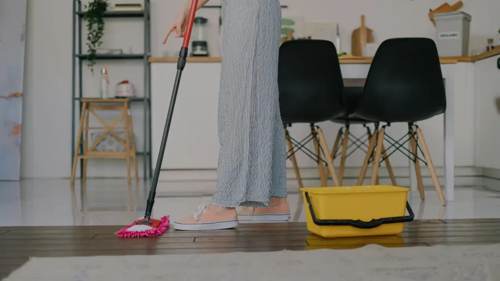 house cleaning tips